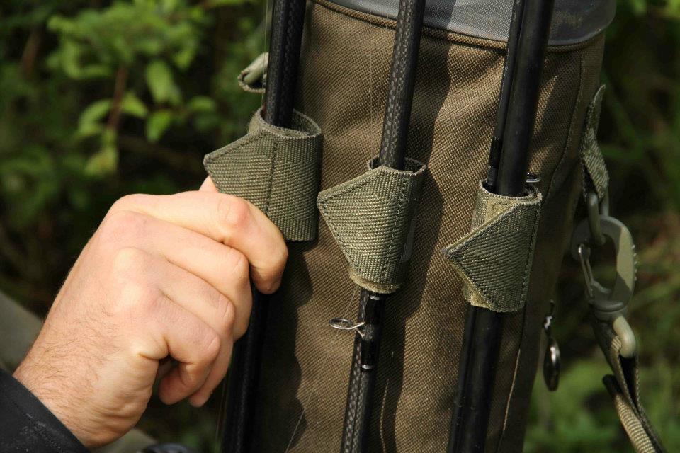 FOX - 74787370531969671057169219607n.jpg